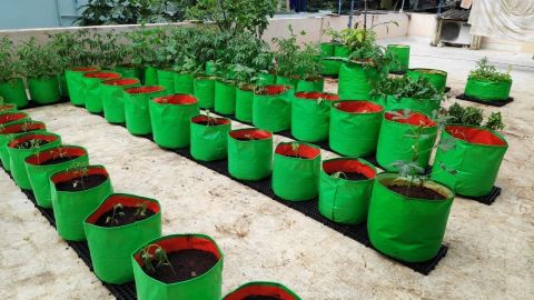 HDPE Grow Bag