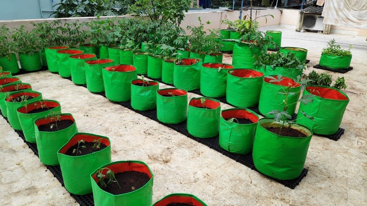 HDPE Grow Bag — manufactured in India by Greenz Biotech