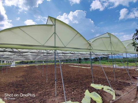 Polyhouse Installation — Greenz Biotech, India